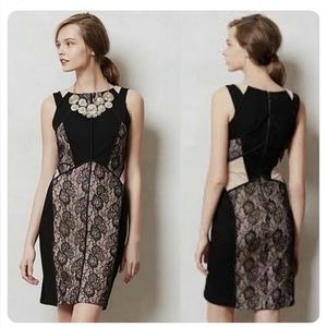 NWT Anthropologie x Maeve black/nude paneled lace bodycon dress, size 10